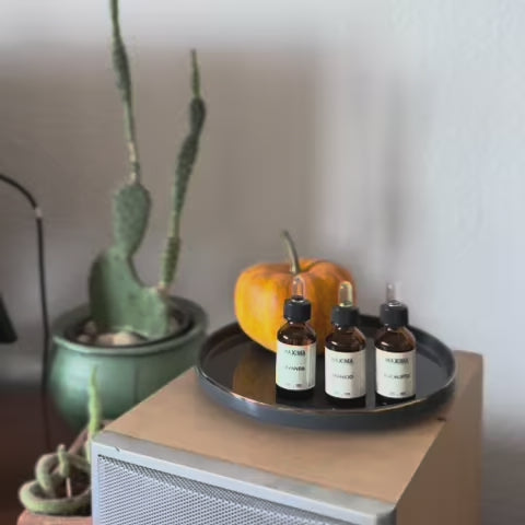 Tiamo Duftessenzen für noch bessere Raumluft Zuhause